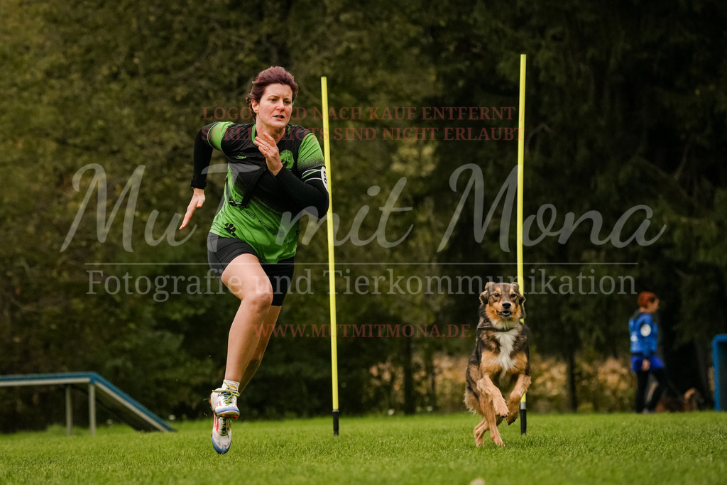 20251005_THS_Turnier-441 | MuT (Mensch und Tier) mit Mona - Fotografie und Tierkommunikation - Realisiert mit Pictrs.com