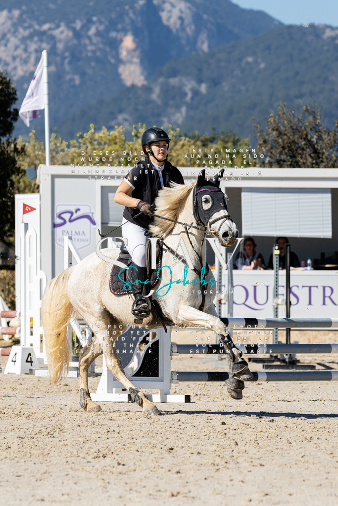 IMG_9354 | s-jay-photography - Realisiert mit Pictrs.com