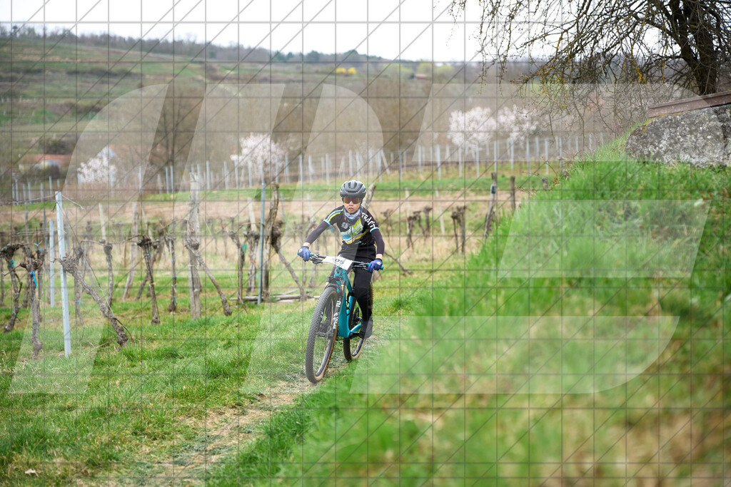 34. KTM Kamptal Trophy  | ZÖBING, Österreich – 2026-03-28: 34. KTM Kamptal TrophyFoto: © 2026 Martin Bihounek - MB Creative e.U.
