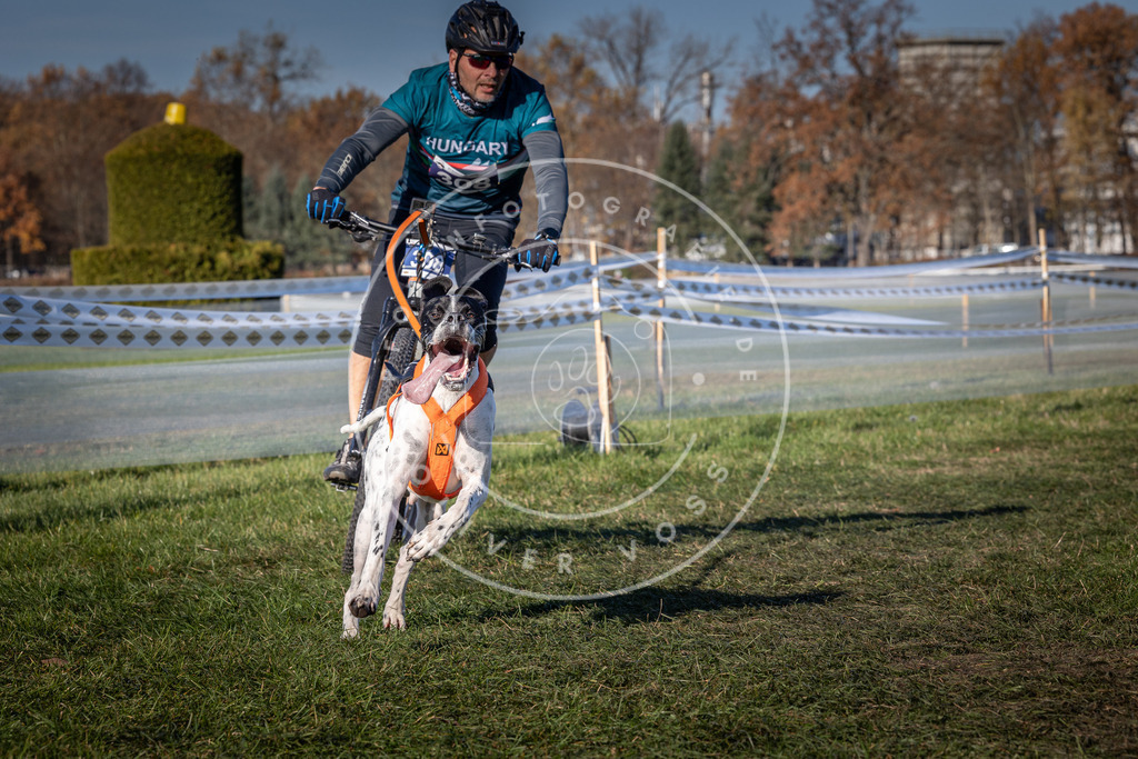CaniXpix_0L8A5522 | Hundefotografie, Tierfotograf, Pfotenfotografie, Fotoshooting Hund, Hunde Portrait, Hundesport, Hundeportraits, Heideshooting, Hunde, Sportfotograf, Hundefotograf, Turnierhundsport, THS,  - Realisiert mit Pictrs.com