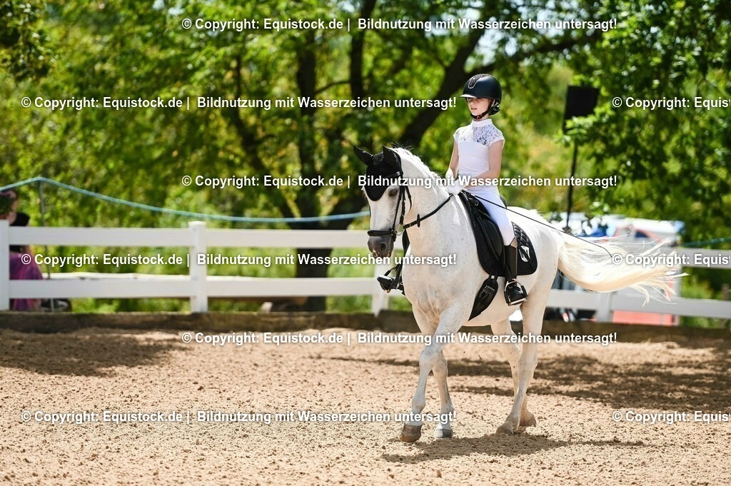 20230715_09_Dressur-WB_0005 | equistock