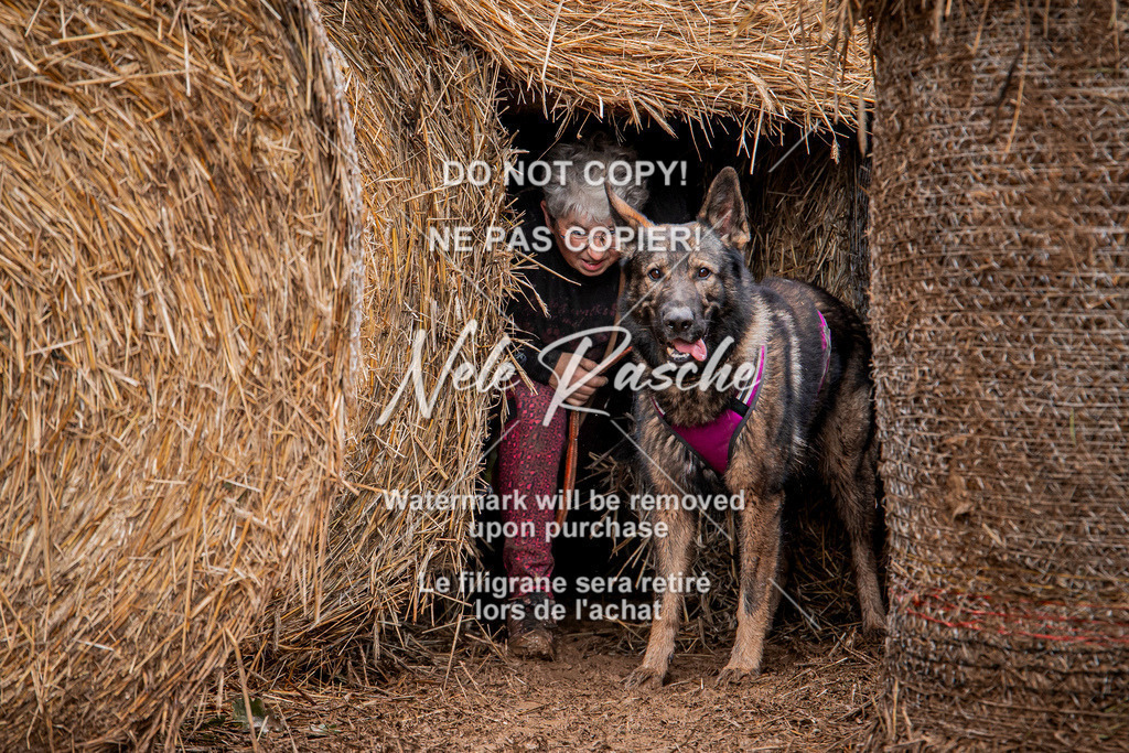 nelerasche_Hunsrück_So09-11_264 | nelerasche