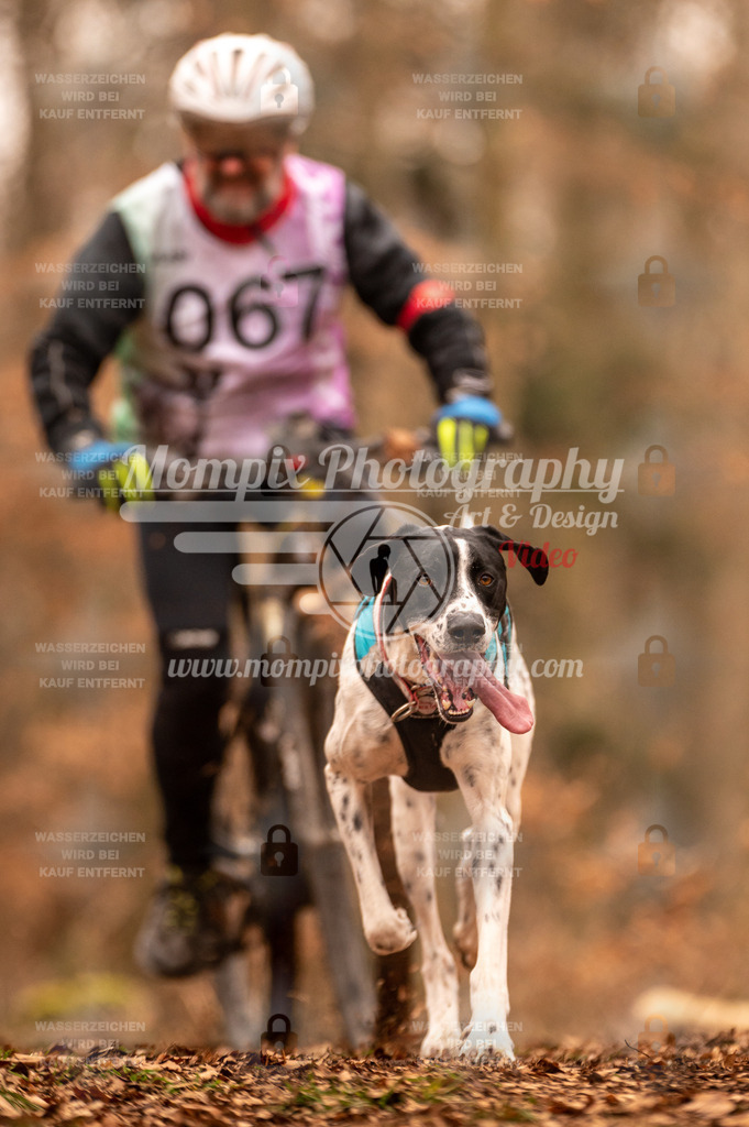AKM_ST_2023_SAM_Bike-47 | PayLife