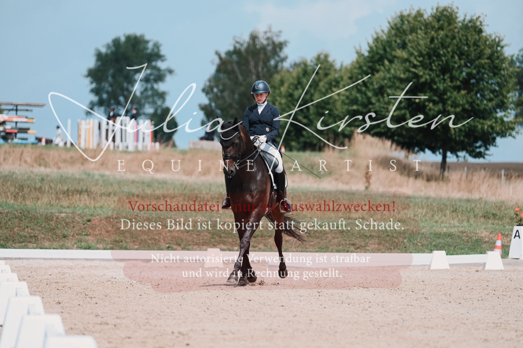 DSC_4297 | Pferde- und Turnierfotografie in Westsachsen. Pferdeportraits, Auftragszeichnungen und intuitive Kunst.