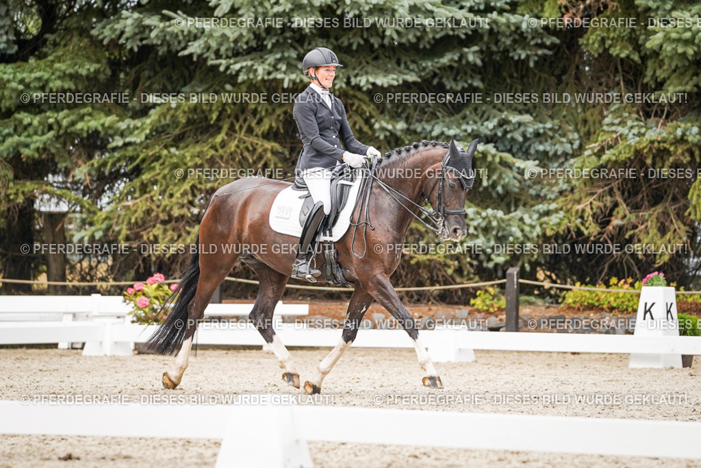 DSC07660 | Pferdegrafie