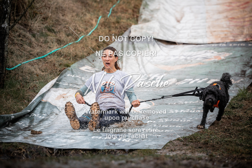 nelerasche_1300-1330_66 | nelerasche