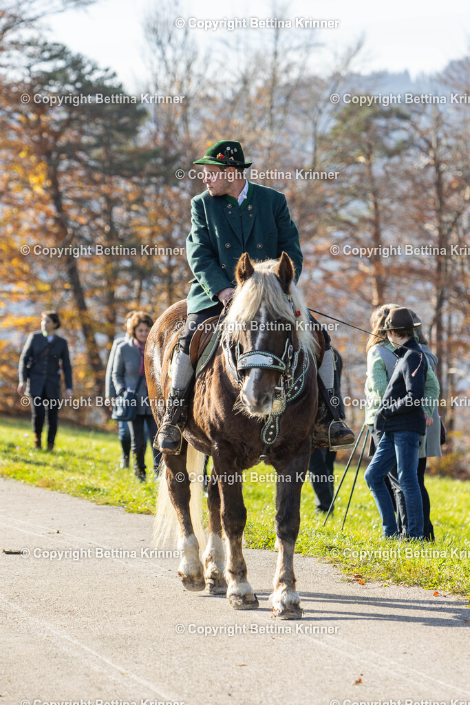 LBT24-1141 | foto-bettina-krinner - Realisiert mit Pictrs.com