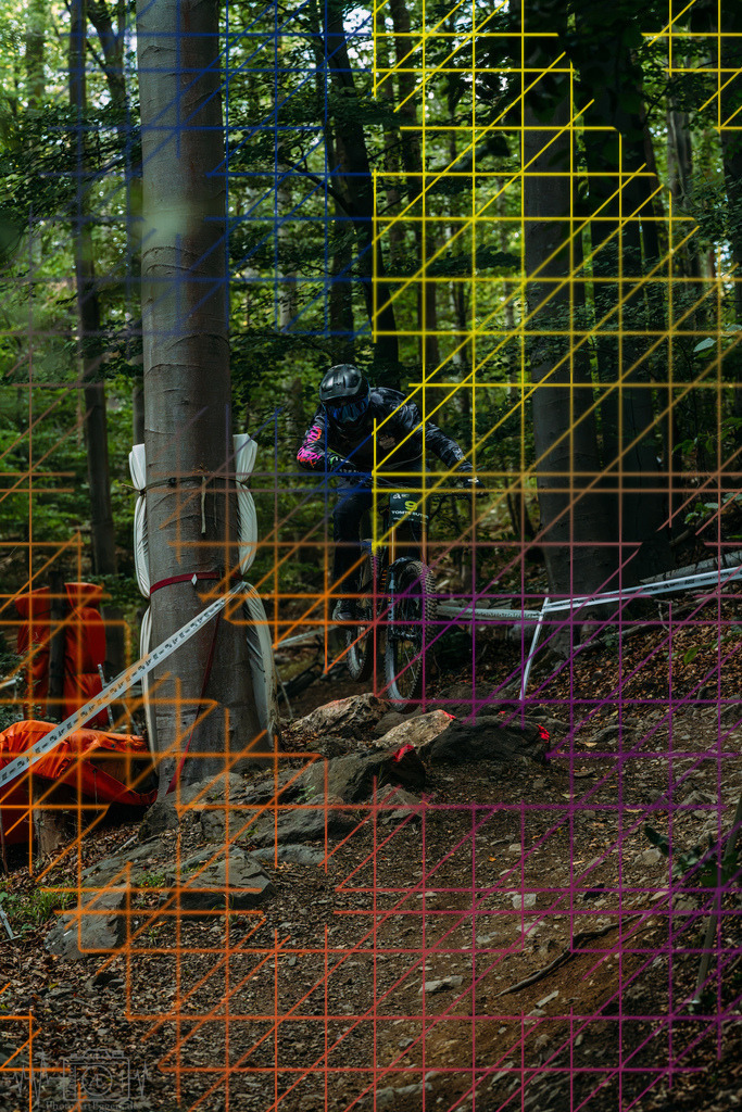 PAE-1300 | Einzigartige Fotokunst für dein Zuhause: Entdecke hochwertige Wandbilder, edle Prints und emotionale Motive von Wildlife, Natur und Landschaften - Realisiert mit Pictrs.com