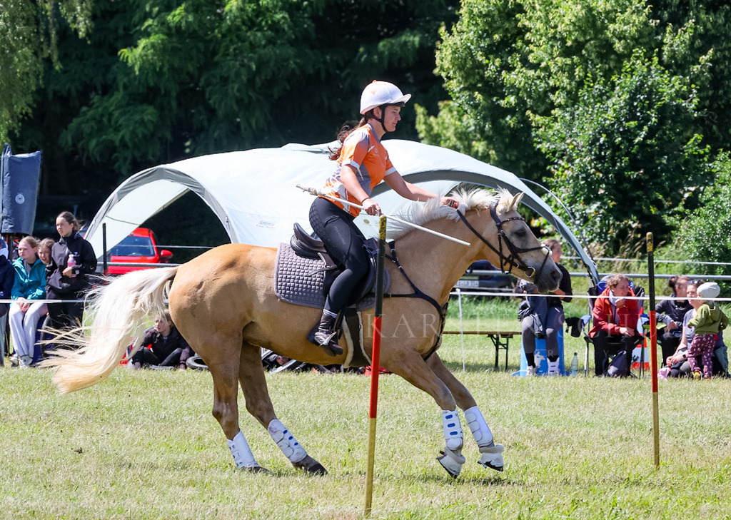 IMG_1610 | Reitsport Reiten