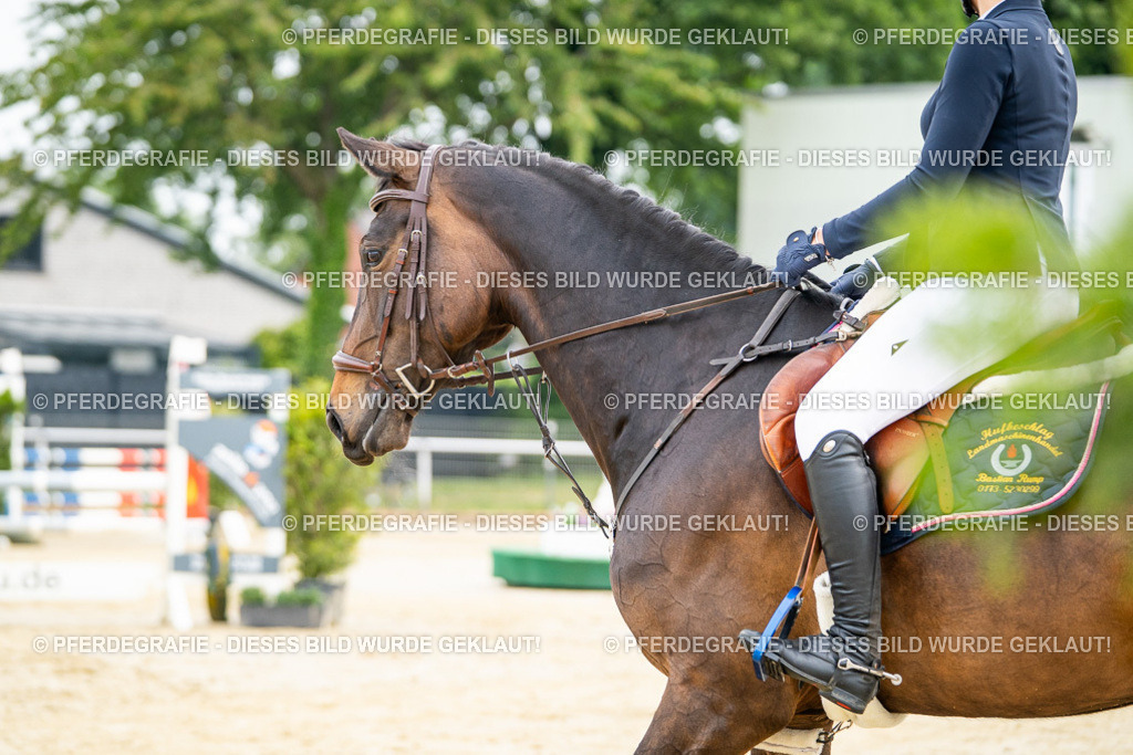 DSC09256 | Pferdegrafie