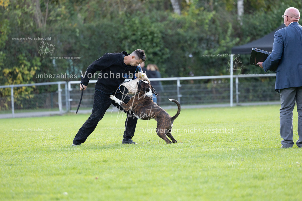 _16A6503 | Einzigartige Fotos von Hunden & Menschen –Actionfotos, Portraits, Vereinsaufnahmen & Paarshootings – authentisch, lebendig & mit Herz.