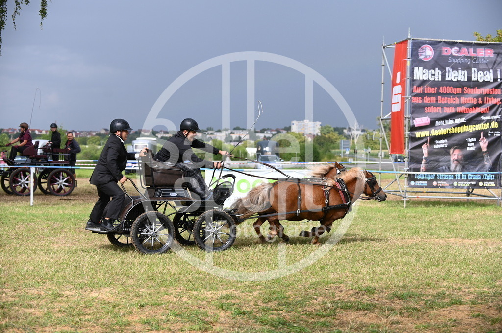 DSC_8857 | sattelsport - Realisiert mit Pictrs.com