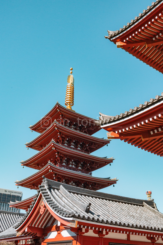 JB3A6481 | antonija-trupina - Realisiert mit Pictrs.com