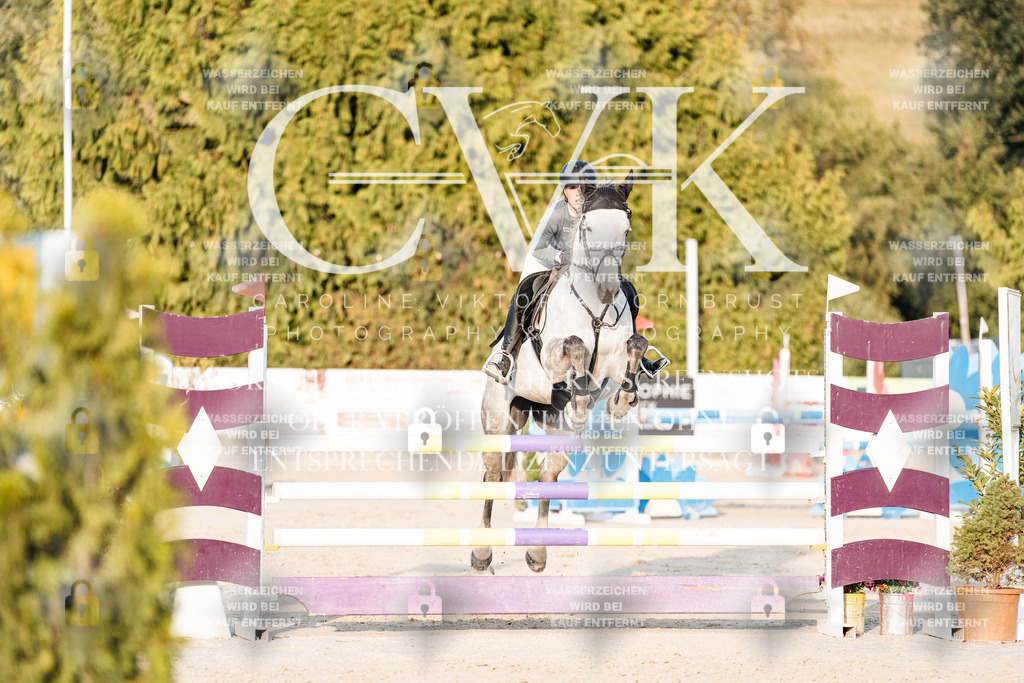CK900920 | Turnierfotografie Pferdefotografie Trier Rheinland-Pfalz Pferdesport Reitsport Tierfotografie Sportfotografie Pferdevideo Pferdevideografie Equestrianvideography equestrianphotography  - Realisiert mit Pictrs.com