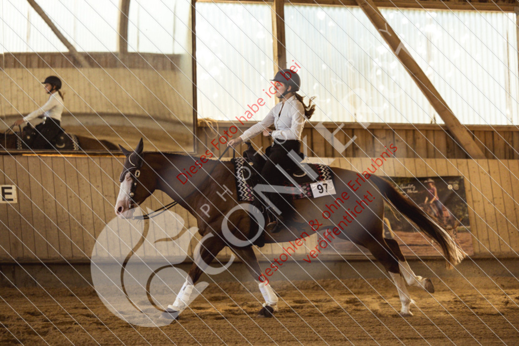 IMG_4989 | Sport-, Event- und Tierfotos in Profiqualität. Einfach auswählen, bestellen und herunterladen. Dein Moment – perfekt festgehalten.