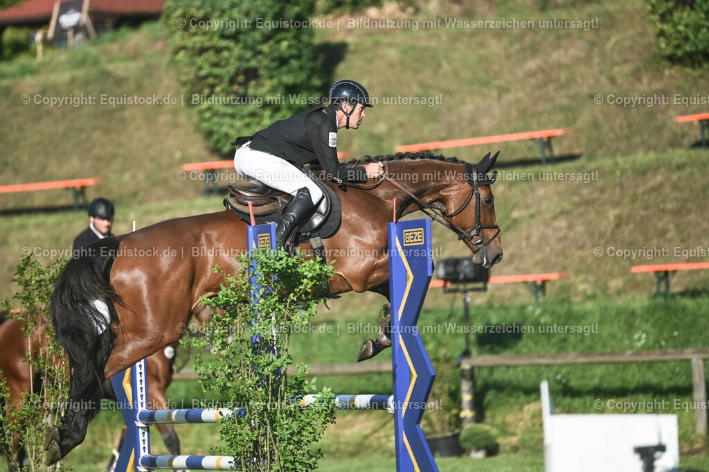 20230908_14-15_Springpferde-A_0026 | equistock