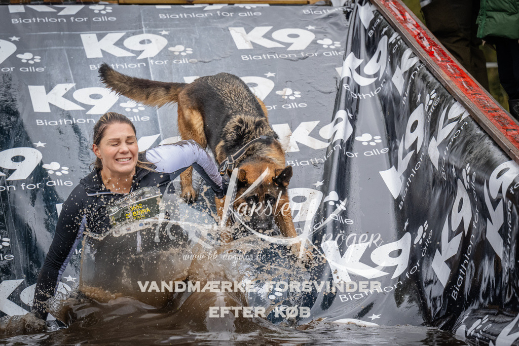 1210_ZZ94574 | kk-dogfotos