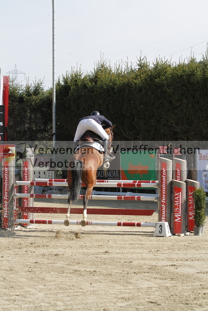 _MG_9134 | equestrian-live-com