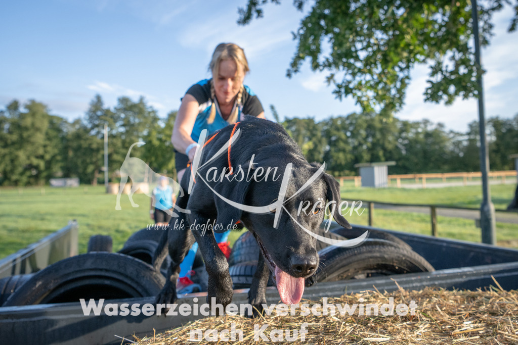 0818_ZZ90948 | kk-dogfotos