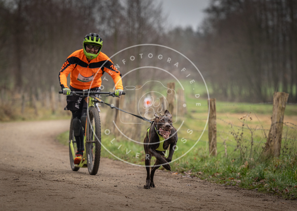 Pfotenfotografie_DV3A2198 | Hundefotografie, Tierfotograf, Pfotenfotografie, Fotoshooting Hund, Hunde Portrait, Hundesport, Hundeportraits, Heideshooting, Hunde, Sportfotograf, Hundefotograf, Turnierhundsport, THS,  - Realisiert mit Pictrs.com