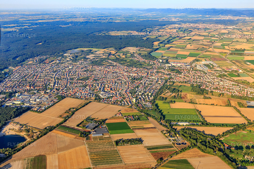 Luftbild: Ortsansicht aus Nordosten in Schifferstadt im Bundesland Rheinland-Pfalz in Deutschland. Foto: IMG_109581.jpg vom 31.07.2018 durch Werner Riehm/FLY-FOTO.de