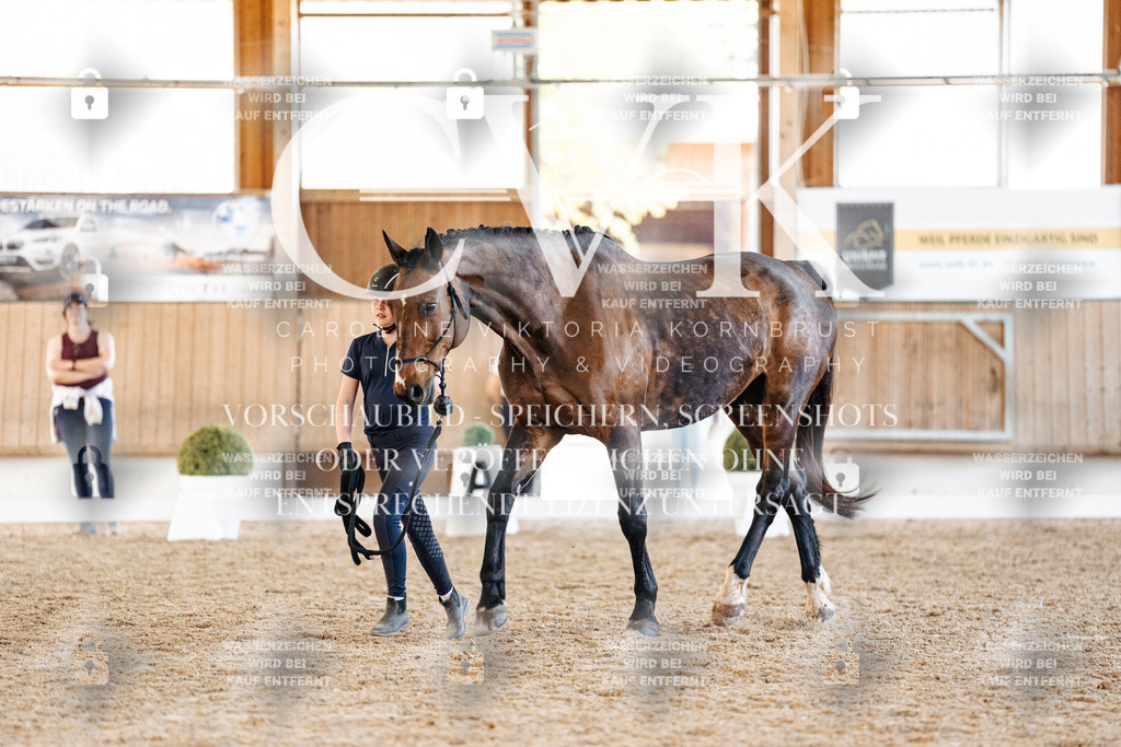 CK906453 | Turnierfotografie Pferdefotografie Trier Rheinland-Pfalz Pferdesport Reitsport Tierfotografie Sportfotografie Pferdevideo Pferdevideografie Equestrianvideography equestrianphotography  - Realisiert mit Pictrs.com