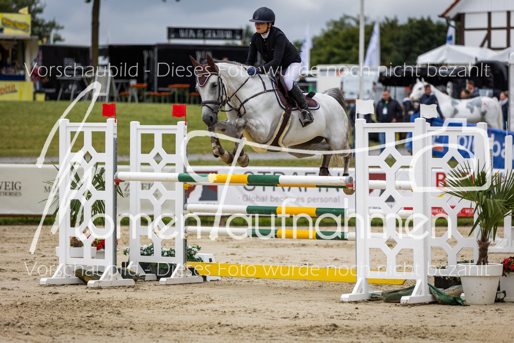 BHO-2PhSpr-M-5-2311 | MomenTaufnahmen Pferdesportfotos