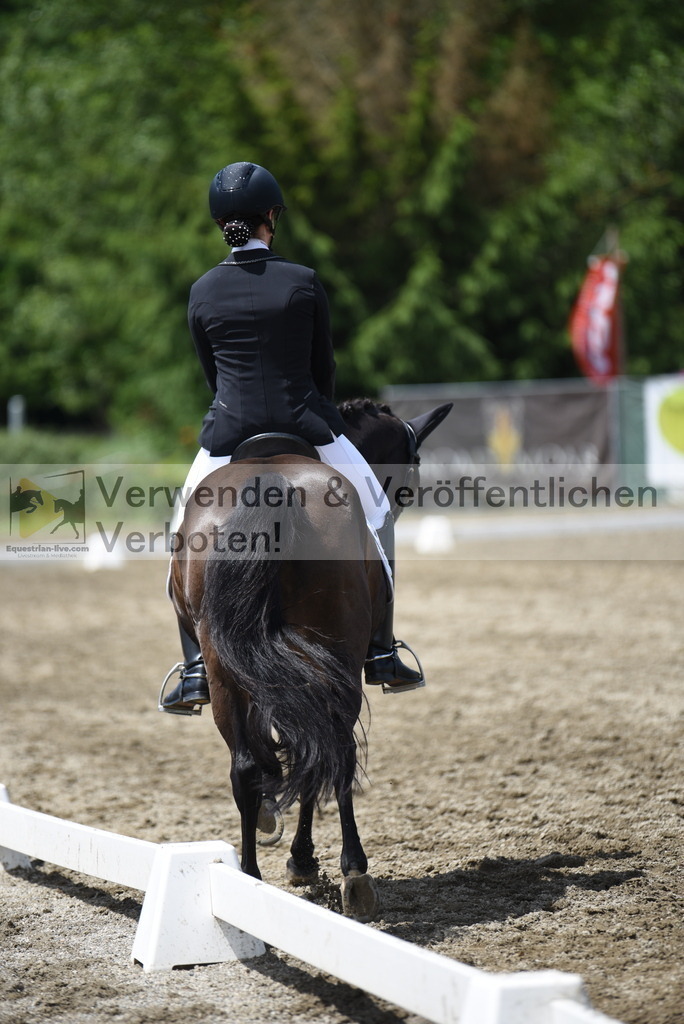 DSC_1391 | equestrian-live-com