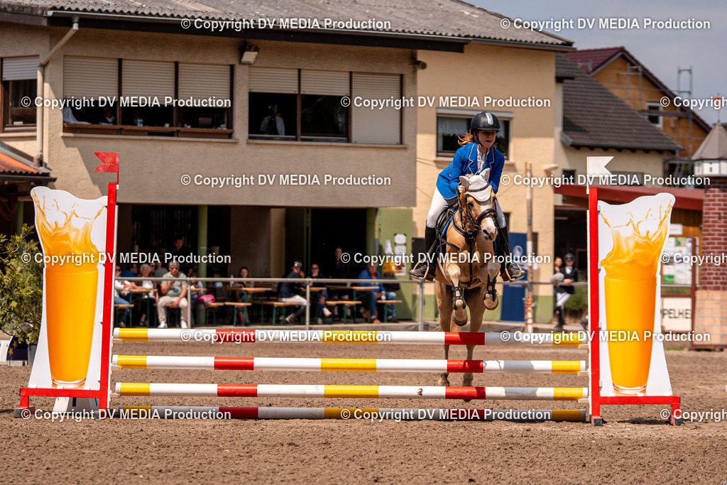 Eppelheim Tag 3-528 | dv-media-shop - Realisiert mit Pictrs.com