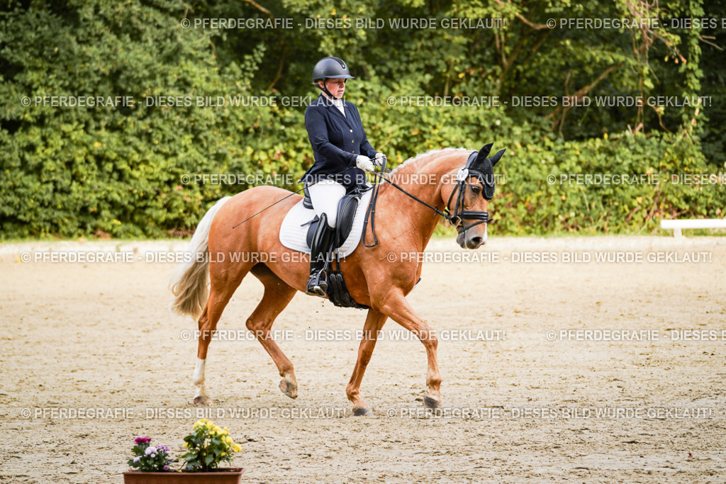 DSC09330 | Pferdegrafie