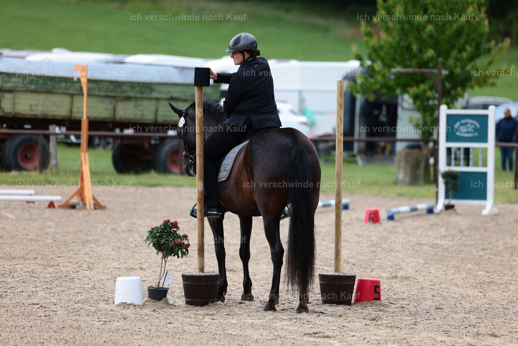 KlasseE_Stoibphotography_CAM22004.JPG | working equitationturnier fotograf videograf stoibphotography marixx film working equitation deutschland reitsport turnierfotografie eventfotografie equestrian events