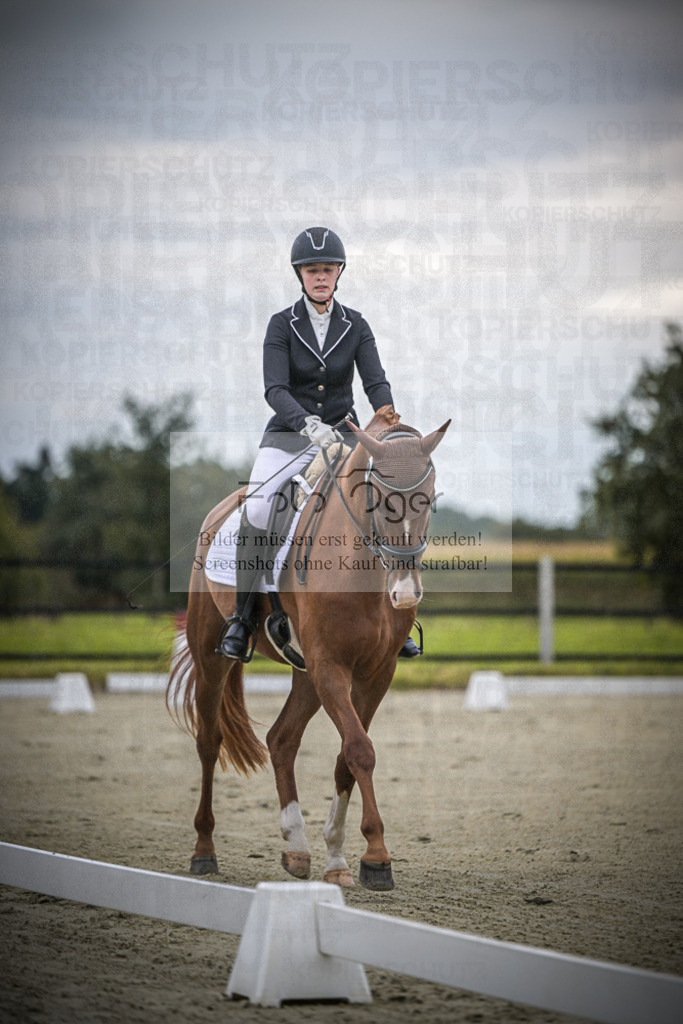 DOS_0239 | Entdecke hochwertige Reitturnierfotos von Foto Oger. Professionell, emotional und authentisch – jetzt Lieblingsmomente im Shop bestellen.Deutschlandweite Turnierfotografie. - Realisiert mit Pictrs.com
