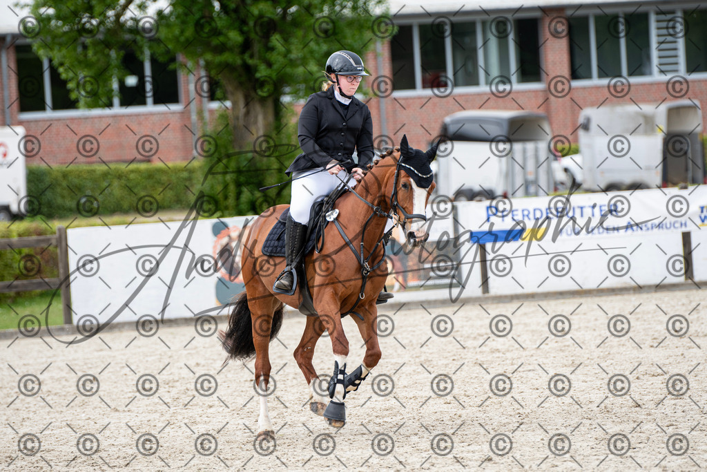 KPT_6225 | andre_photographic