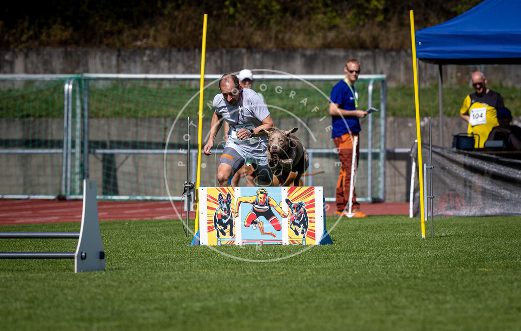 Pfotenfotografie_DV3A8026 | Hundefotografie, Tierfotograf, Pfotenfotografie, Fotoshooting Hund, Hunde Portrait, Hundesport, Hundeportraits, Heideshooting, Hunde, Sportfotograf, Hundefotograf, Turnierhundsport, THS,  - Realisiert mit Pictrs.com