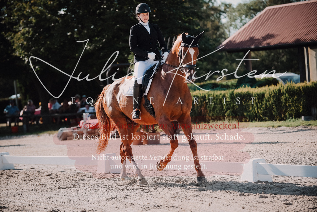 DSC_0453 | Pferde- und Turnierfotografie in Westsachsen. Pferdeportraits, Auftragszeichnungen und intuitive Kunst.