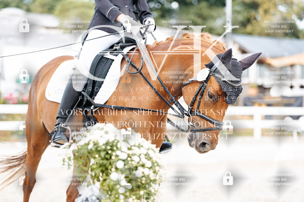CK904605 | Turnierfotografie Pferdefotografie Trier Rheinland-Pfalz Pferdesport Reitsport Tierfotografie Sportfotografie Pferdevideo Pferdevideografie Equestrianvideography equestrianphotography  - Realisiert mit Pictrs.com