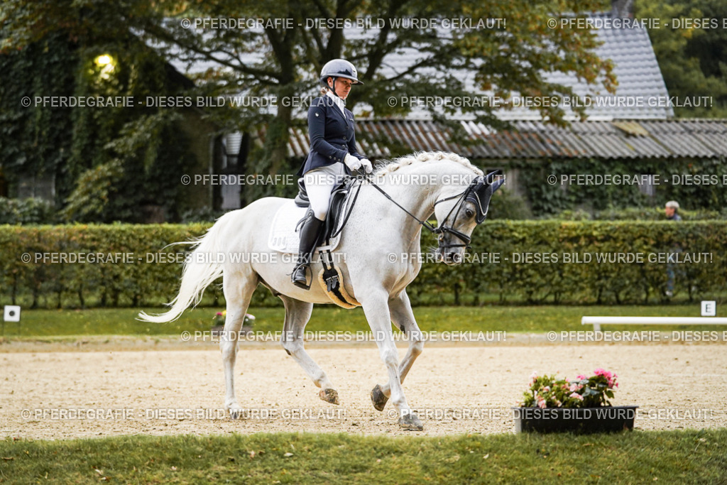 DSC06632 | Pferdegrafie