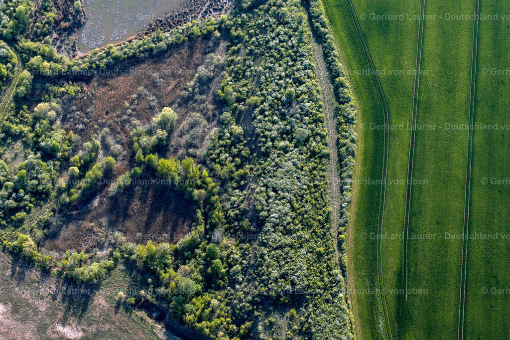 4026089 | ERFURT 06.05.2020 Uferbereiche der Teichanlagen zur Fischzucht im Ortsteil Hohenwinden in Erfurt im Bundesland Thüringen, Deutschland. // Shore areas of the ponds for fish farming in the district Hohenwinden in Erfurt in the state Thuringia, Germany. Foto: Gerhard Launer