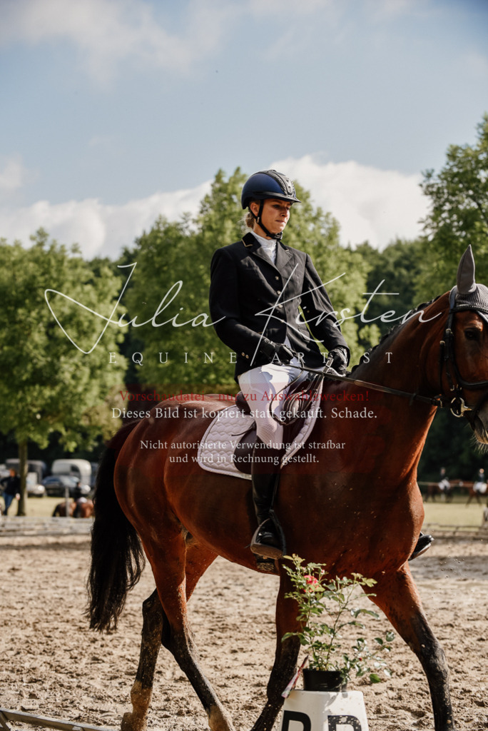 DSC_9077 | Pferde- und Turnierfotografie in Westsachsen. Pferdeportraits, Auftragszeichnungen und intuitive Kunst.