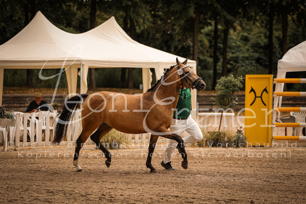 10.So00022 | Leoni Ertmer Photography - Realisiert mit Pictrs.com