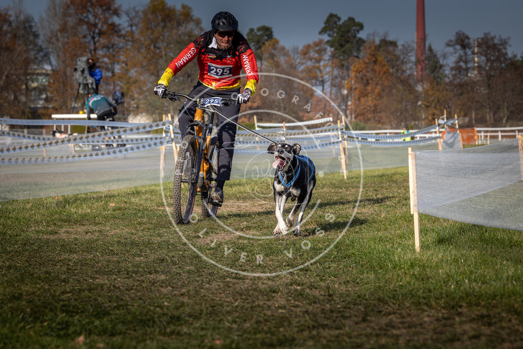 CaniXpix_0L8A7238 | Hundefotografie, Tierfotograf, Pfotenfotografie, Fotoshooting Hund, Hunde Portrait, Hundesport, Hundeportraits, Heideshooting, Hunde, Sportfotograf, Hundefotograf, Turnierhundsport, THS,  - Realisiert mit Pictrs.com