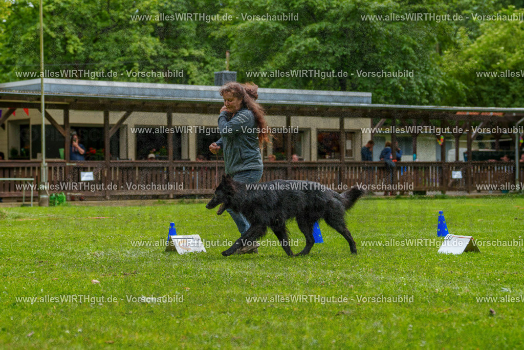 @allesWIRTHgut_Tierfotografie - www.allesWIRTHgut.de - 7R501713 | Professionelle Tierfotografie in Mönchengladbach von Daniel Wirth (allesWIRTHgut). Liebevolle & natürliche Bilder von Hunden & Katzen für unvergessliche Erinnerungen.