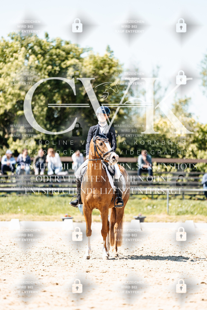 CK905599 | Turnierfotografie Pferdefotografie Trier Rheinland-Pfalz Pferdesport Reitsport Tierfotografie Sportfotografie Pferdevideo Pferdevideografie Equestrianvideography equestrianphotography  - Realisiert mit Pictrs.com
