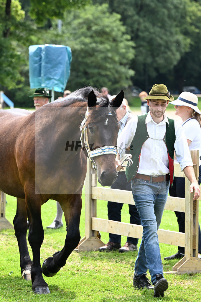 Kat-Nr. 62 Peppi v. Romanoff_Kusterer_22241057 | hf-fotografie - Realizzato con Pictrs.com
