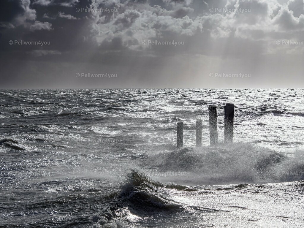 pellworm-kalender-2024-33-denoise-enhance-2x-sharpen | Pellwormer Bilder und Fotos als Poster, auf Leinwand mit Keilrahmen, hinter Acrylglas, auf Alu-Dibond oder Forex-Platte und vieles mehr. Zum verschenken, für die Ferienwohnung oder für zu Hause. - Realisiert mit Pictrs.com