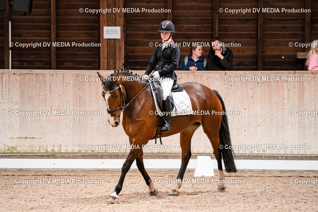 Dressur Tag 2-397 | dv-media-shop - Realisiert mit Pictrs.com