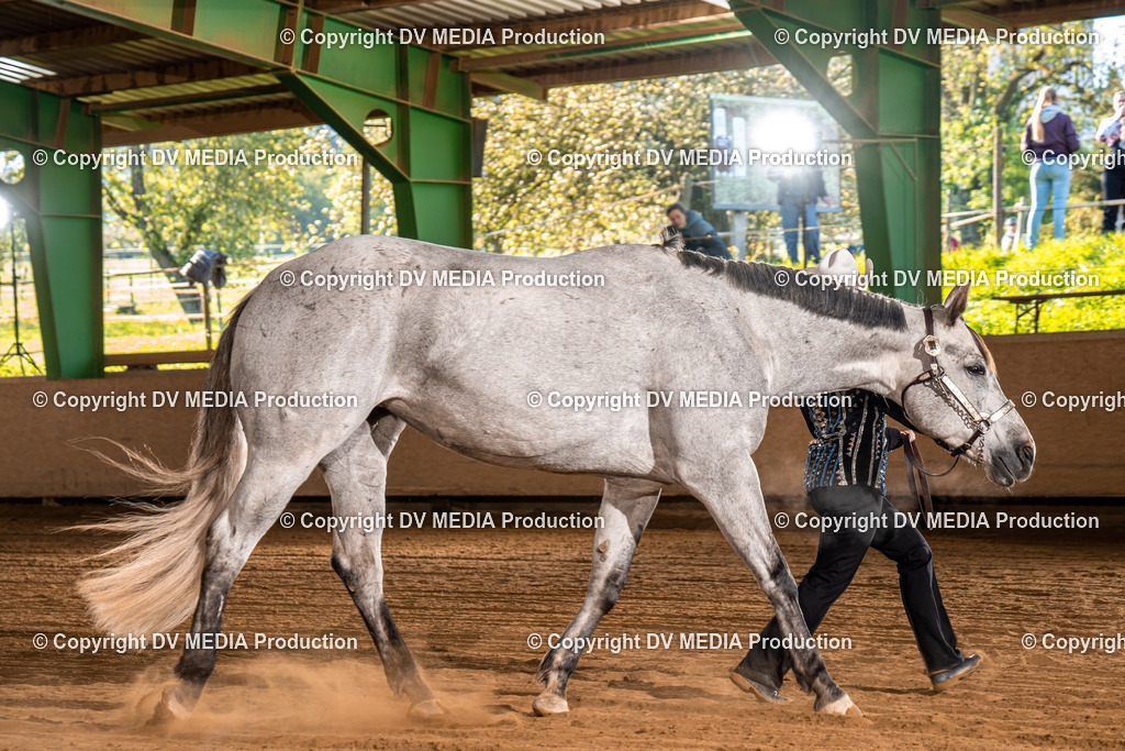 Balingen Tag 1-75 | dv-media-shop - Realisiert mit Pictrs.com