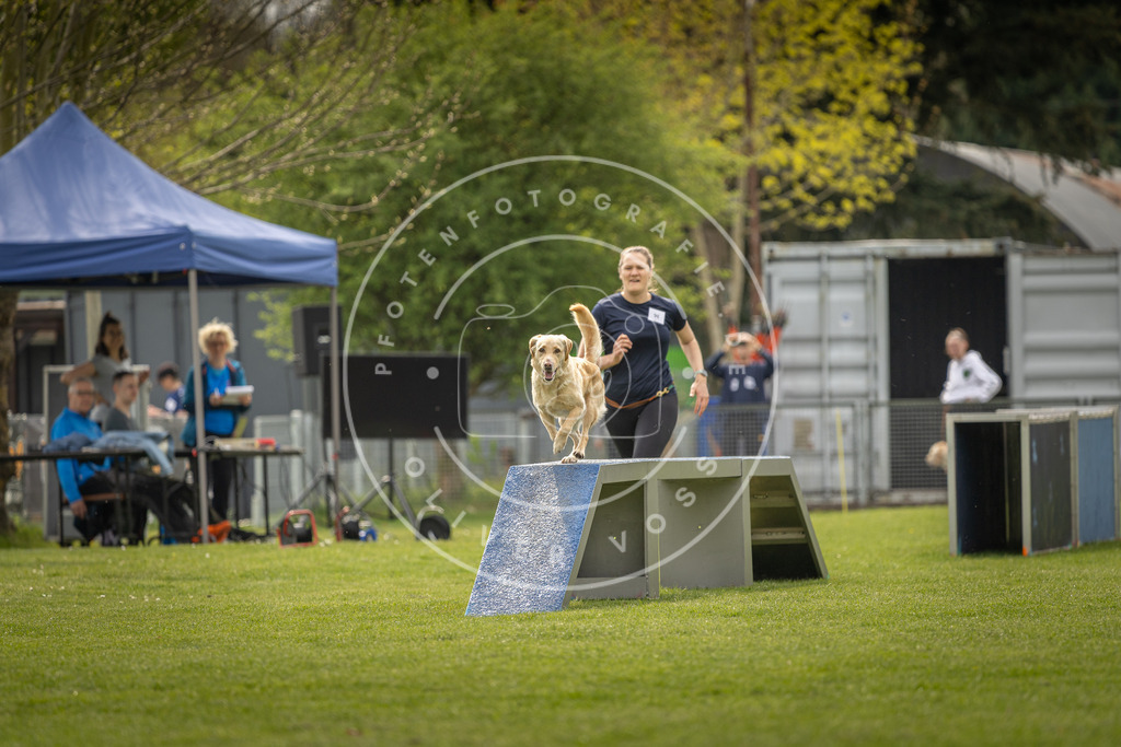 Pfotenfotografie_DV3A6414 | Hundefotografie, Tierfotograf, Pfotenfotografie, Fotoshooting Hund, Hunde Portrait, Hundesport, Hundeportraits, Heideshooting, Hunde, Sportfotograf, Hundefotograf, Turnierhundsport, THS,  - Realisiert mit Pictrs.com