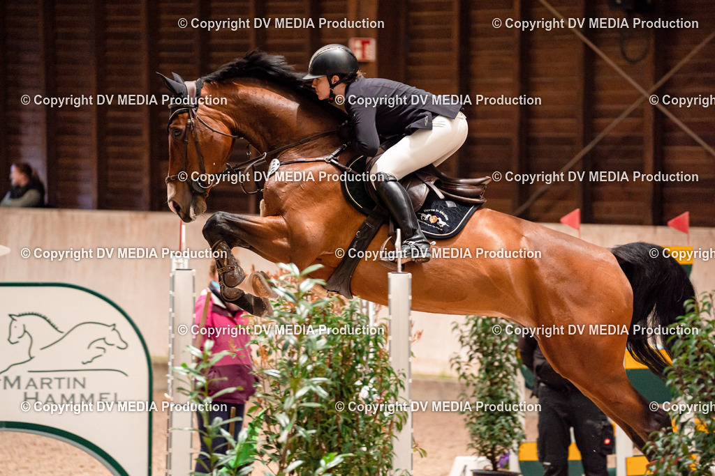 Springen Tag 1-397 | dv-media-shop - Realisiert mit Pictrs.com