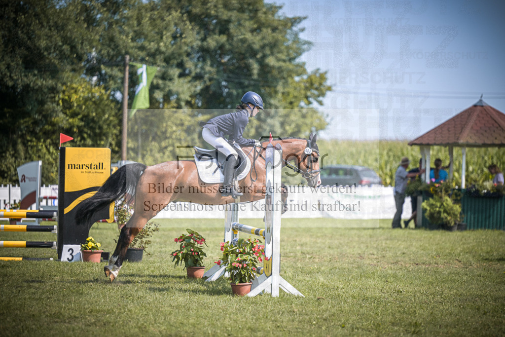 DOS_3449 | Entdecke hochwertige Reitturnierfotos von Foto Oger. Professionell, emotional und authentisch – jetzt Lieblingsmomente im Shop bestellen.Deutschlandweite Turnierfotografie. - Realisiert mit Pictrs.com